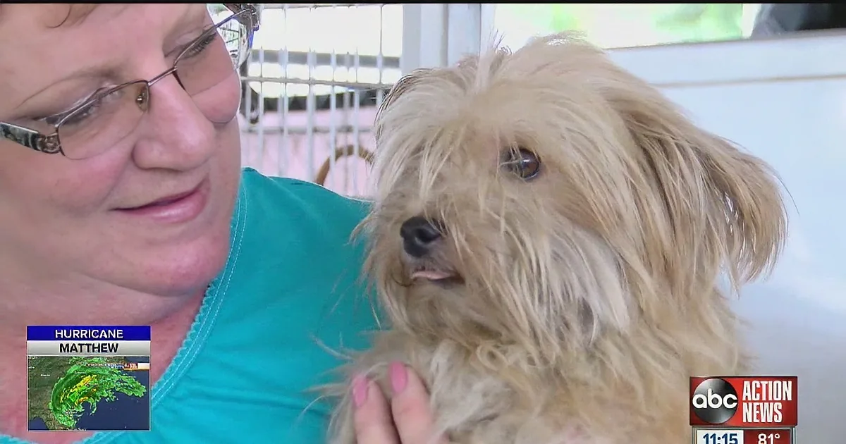 Tampa Bay Woman Looks Outside During Hurricane Matthew. What She Sees? Heartbreaking!