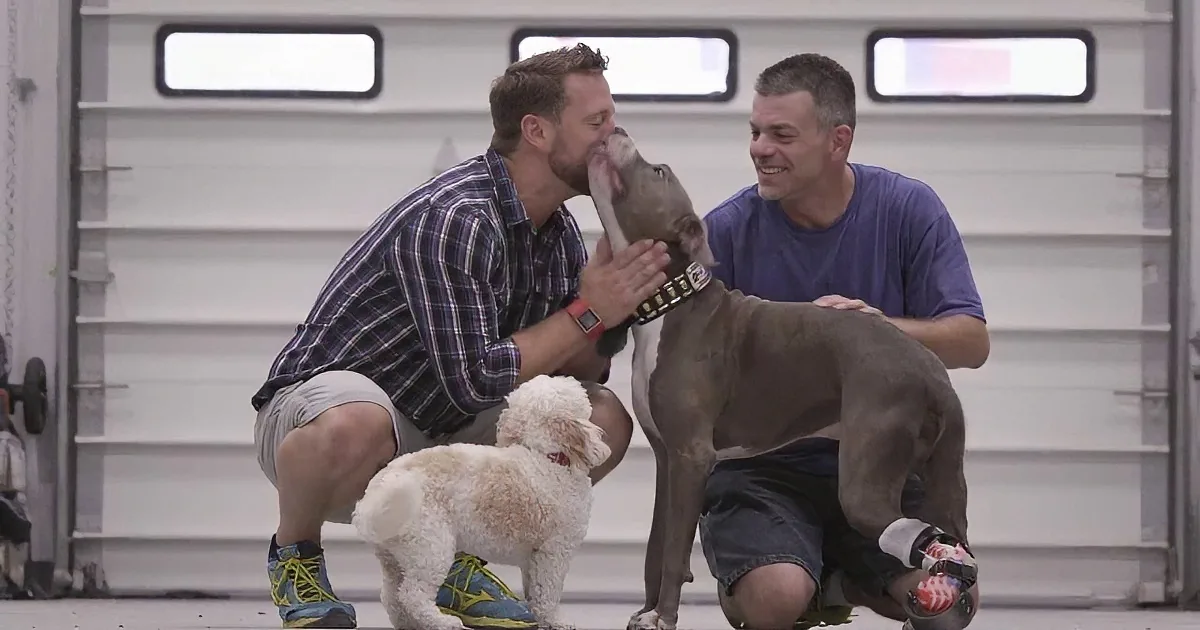 Dog Loses His Foot Due to Unspeakable Cruelty. What This Man Does for Him? God Bless ''Em Both!