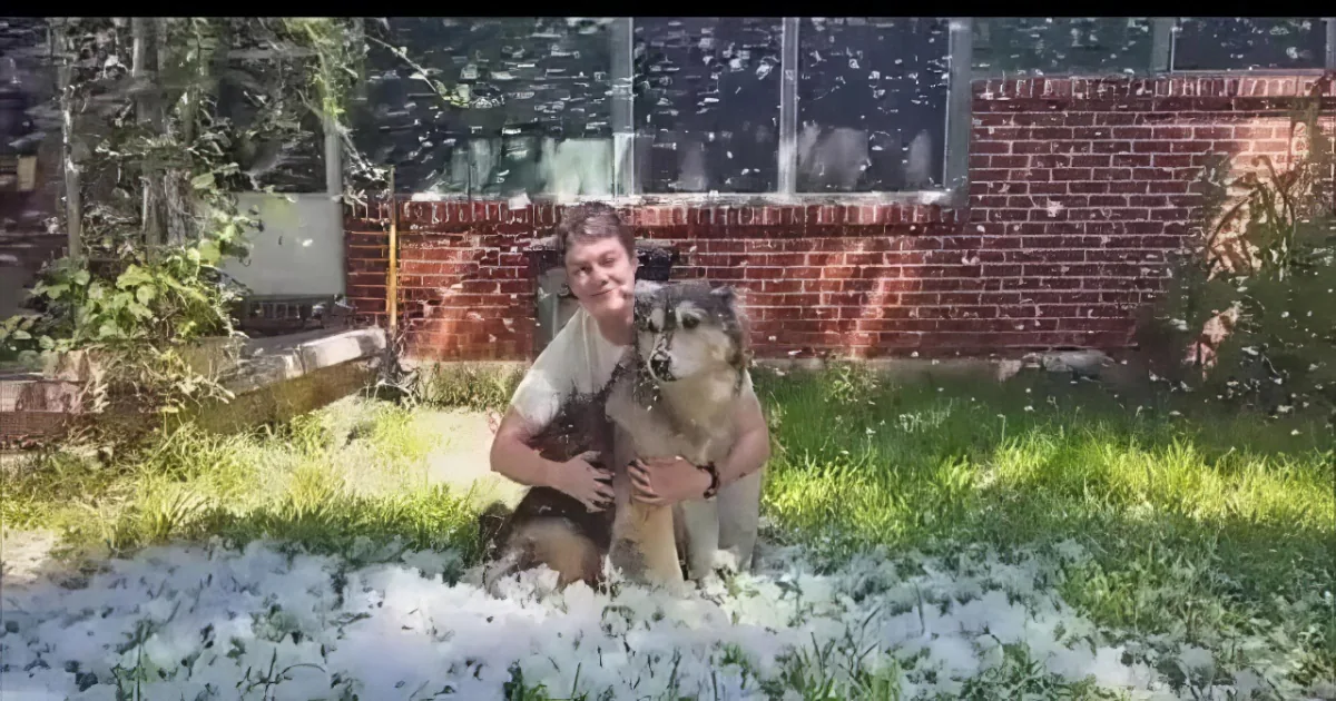 Mommy Is Fulfilling One Last Promise to Her Terminally-Ill Dog. I''m in Tears!