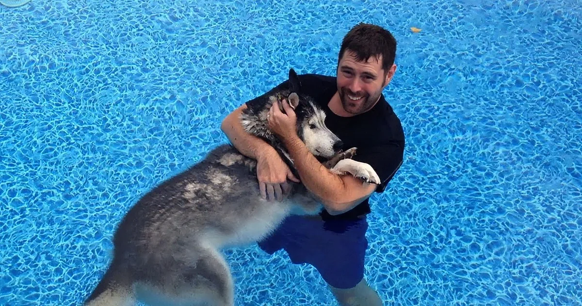 A man holds a husky dog in a swimming pool, both smiling and enjoying the moment.