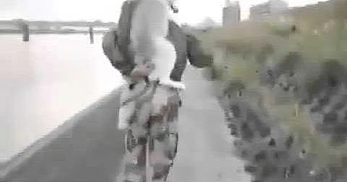 A person in camouflage pants and a backpack stands on a grassy bank near a body of water.