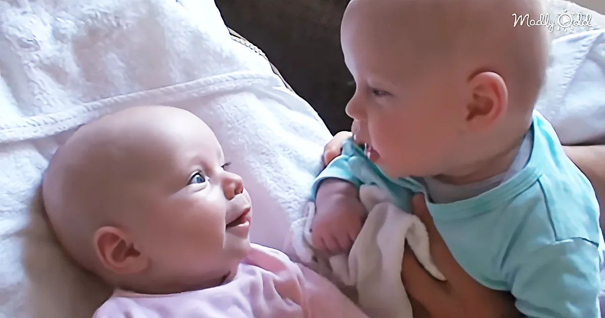 This Doting Dad Was Recording His Twins on Camera. but When They Started Chatting? He Can''t Stop Laughing!