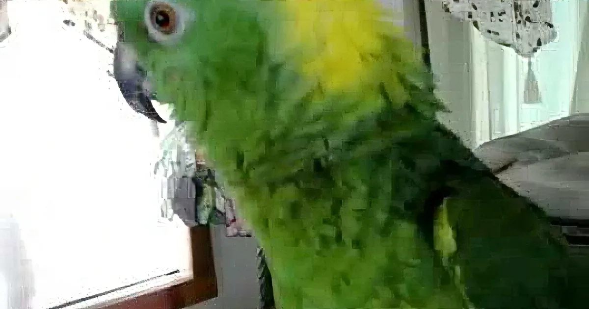 A vibrant green parrot with yellow accents perches near a window, its feathers catching light.
