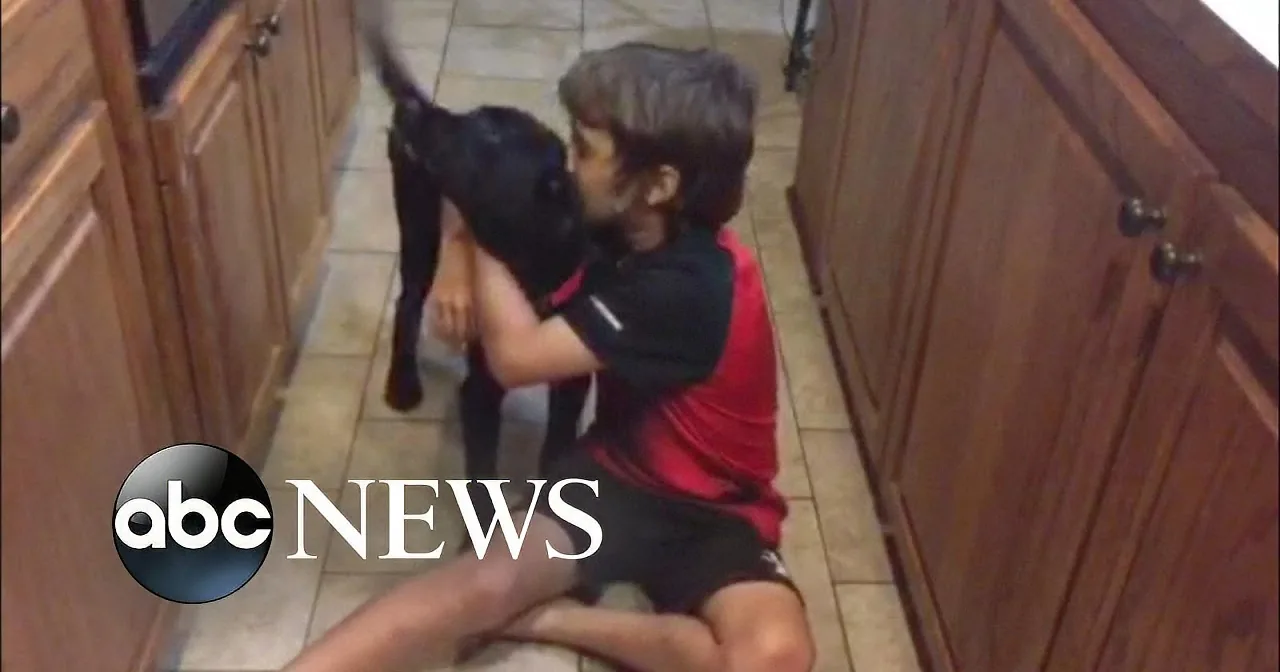 Security Camera Captures Boy Running Into Neighbor''s Garage to Do This?! Leaked Video Goes Viral.