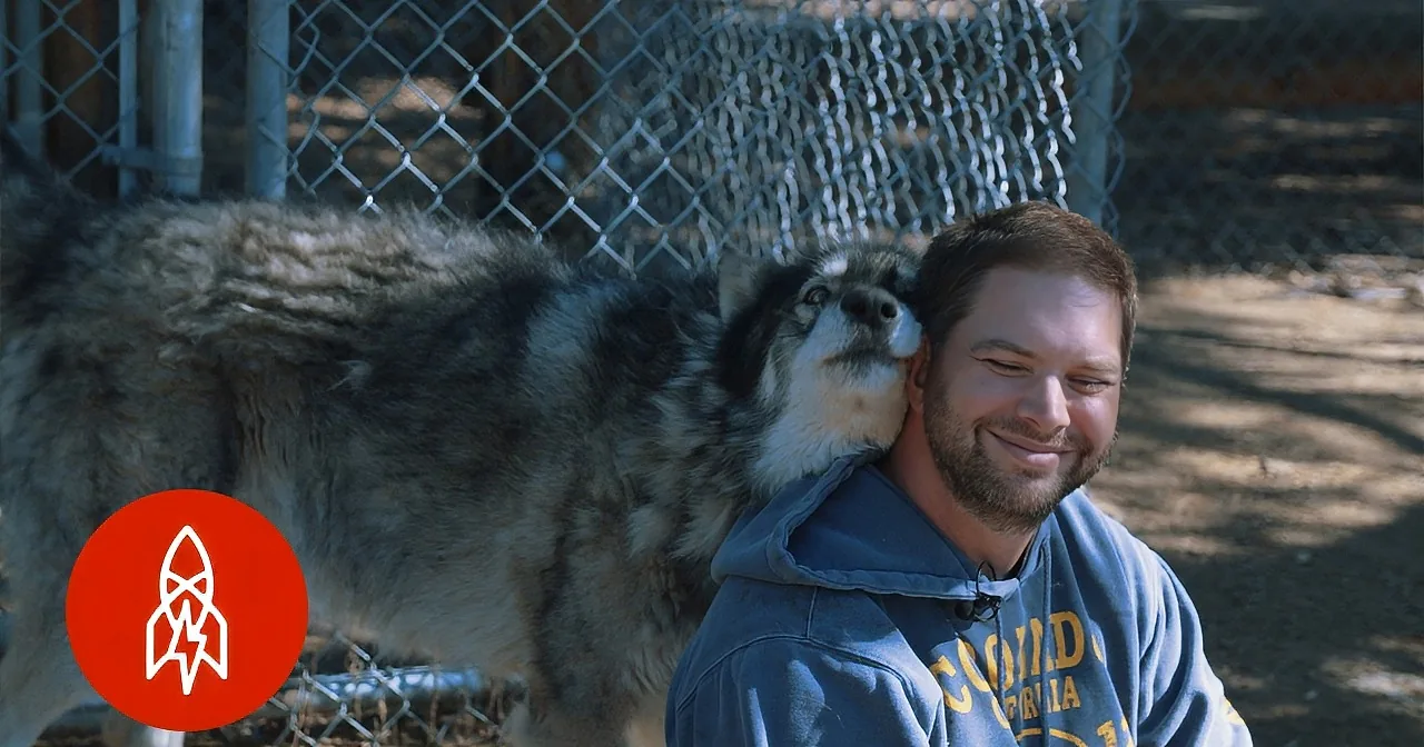 A man in a blue hoodie smiles as a large wolf-like dog leans its head on his shoulder.