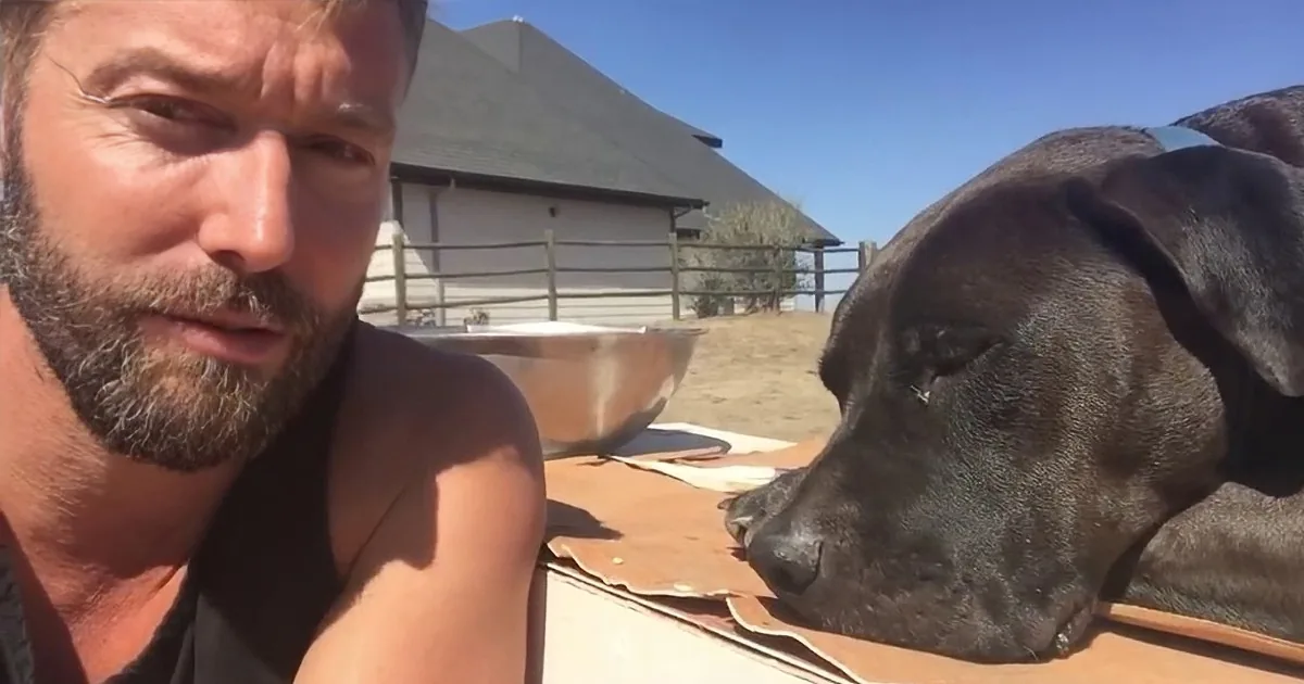 A man with a beard sits next to a black dog resting on a wooden surface under a clear blue sky.