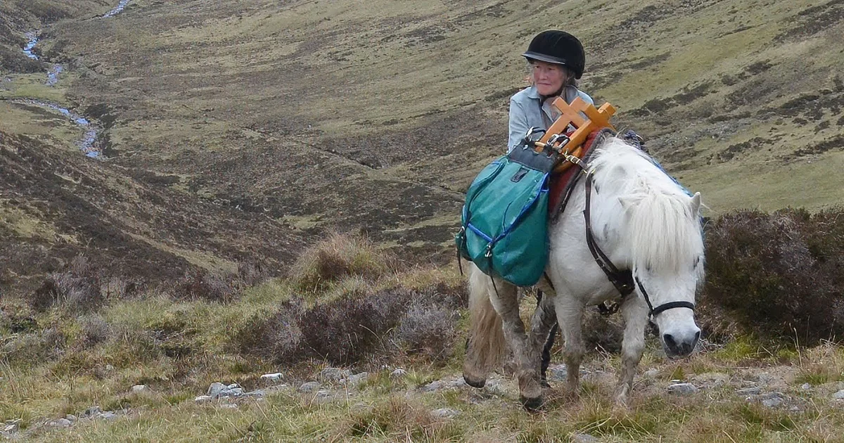 A person rides a white horse with a green saddle bag through a grassy, hilly landscape.