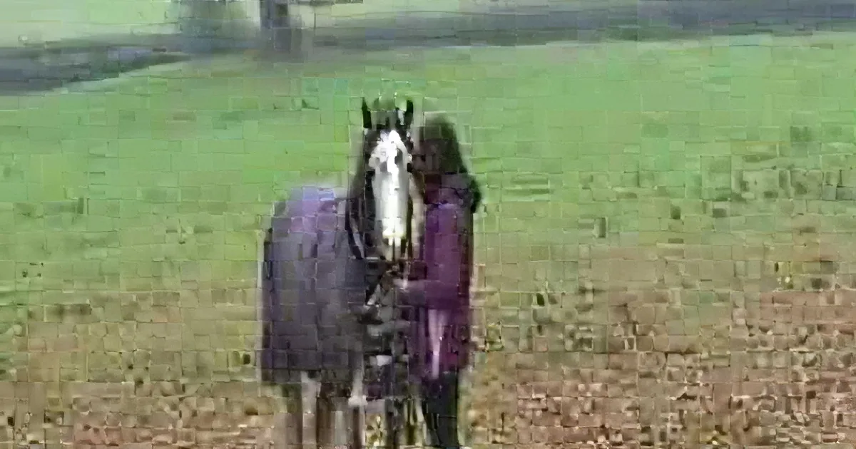 This Horse Hadn''t Seen His Owner for Weeks. When She Surprises Him With Her Return? Aww!