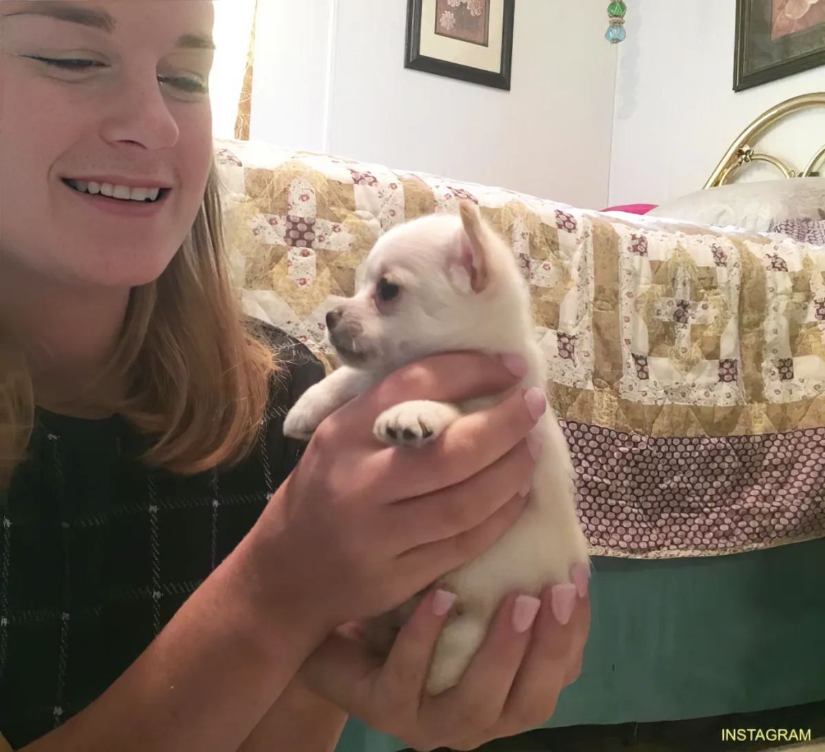 A woman holds a small white puppy with a patterned couch and framed pictures in the background.