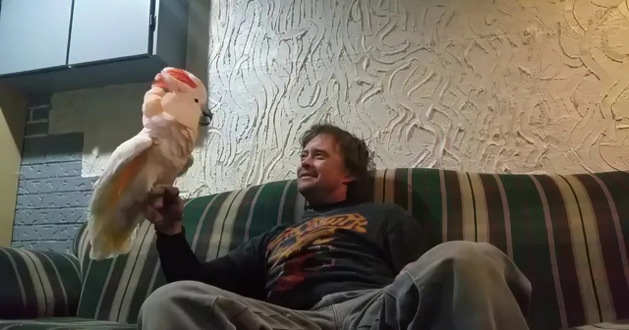 A man sits on a striped couch, holding a white cockatoo with a red crest on his hand.