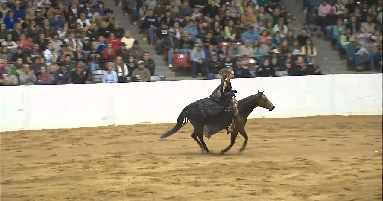 A rider in a black outfit is riding a horse in an arena, with a crowd watching in the background.