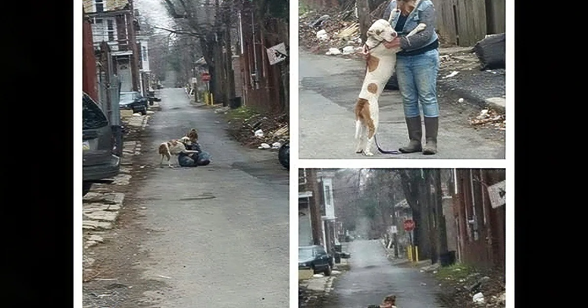 A person is holding a dog on a leash in a narrow alleyway, surrounded by debris and trash.