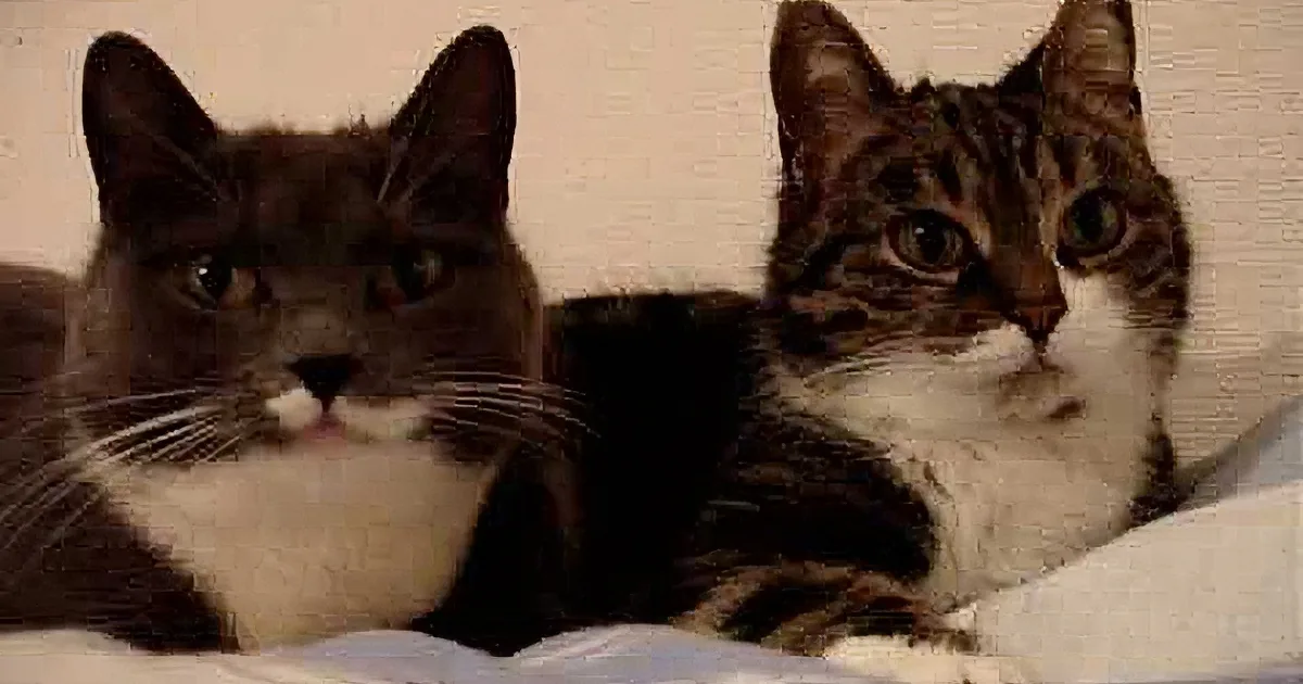 Two cats, one black and white, the other tabby, lying on a white surface, looking directly at the camera.