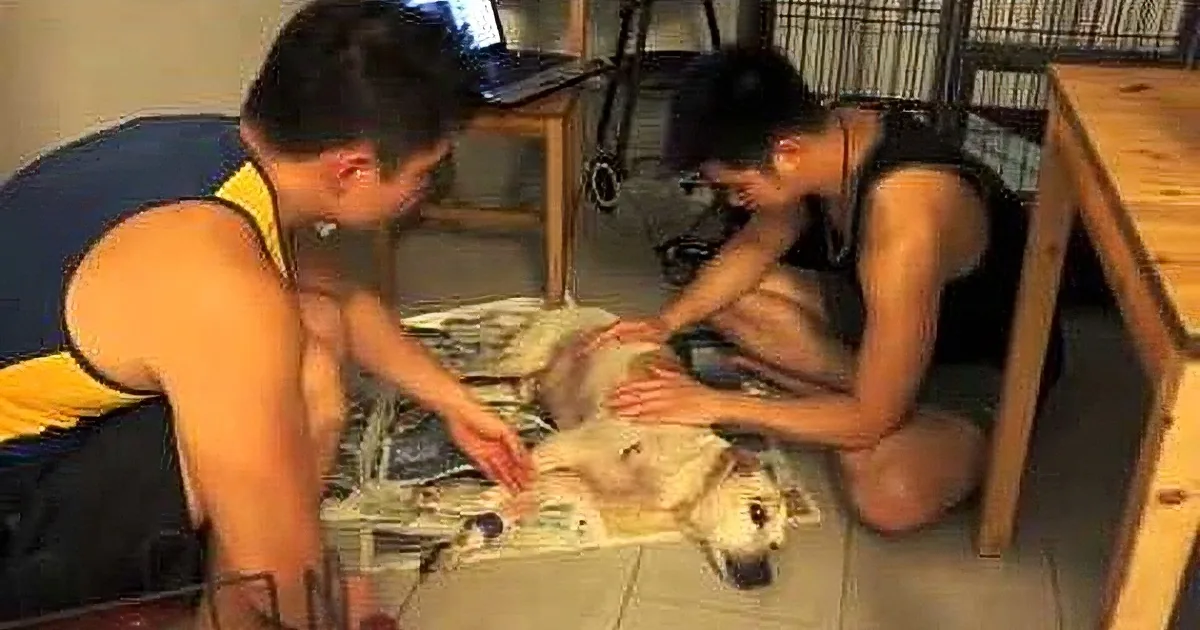 Two shirtless men are kneeling and interacting with a small dog on a cluttered floor.