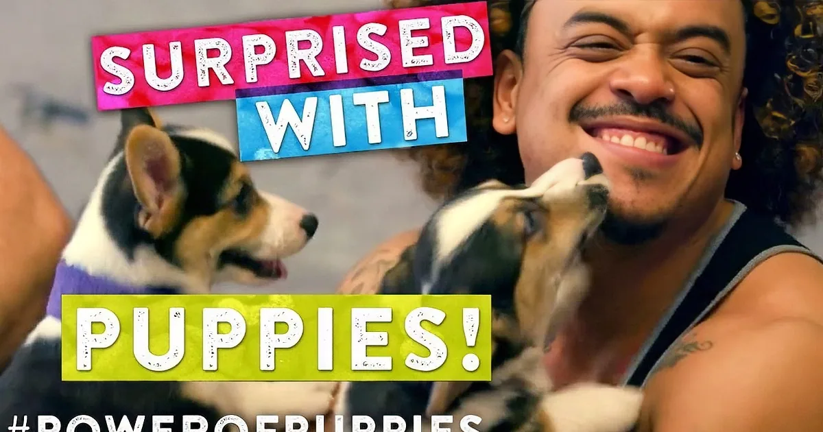 A man smiles while holding two playful puppies, with text overlay reading "Surprised with Puppies!" and hashtag...