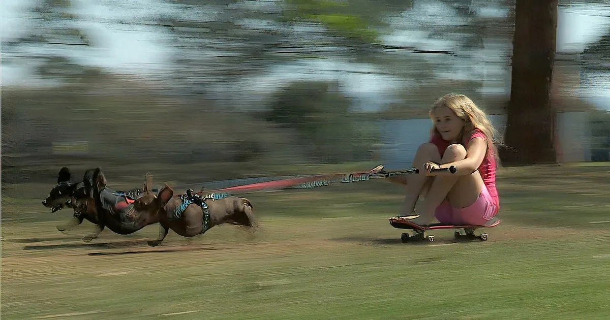 A girl in pink is riding a skateboard-like contraption with horses attached, creating a surreal and dynamic scene.
