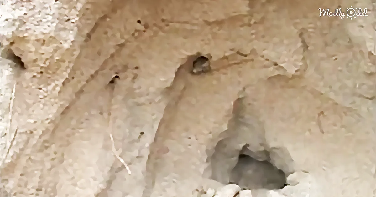 This 11-Year-Old Boy Saves a Young Girl Buried in Collapsed Sand Cave - so Inspirational