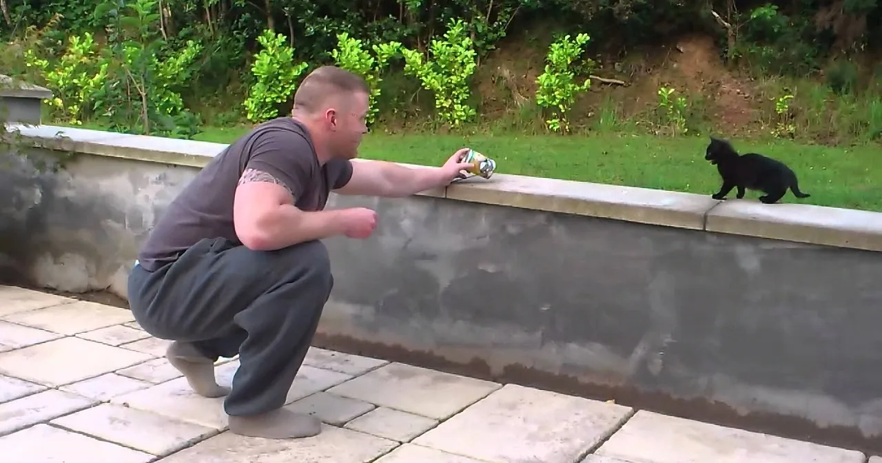 A Big Boy Shows Us His Great Heart by Having a Cute Conversation With a Wild Kitten.