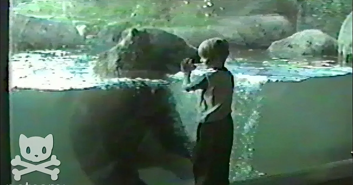 Young Boy Sees Giant Bear Swimming at Zoo. I Couldn''t Believe What They Did Next.