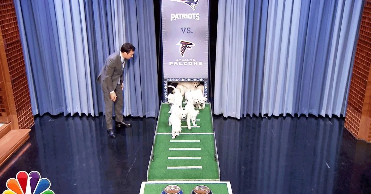A man in a suit stands on a football field stage with dogs, facing a backdrop for the Patriots vs. Falcons game.