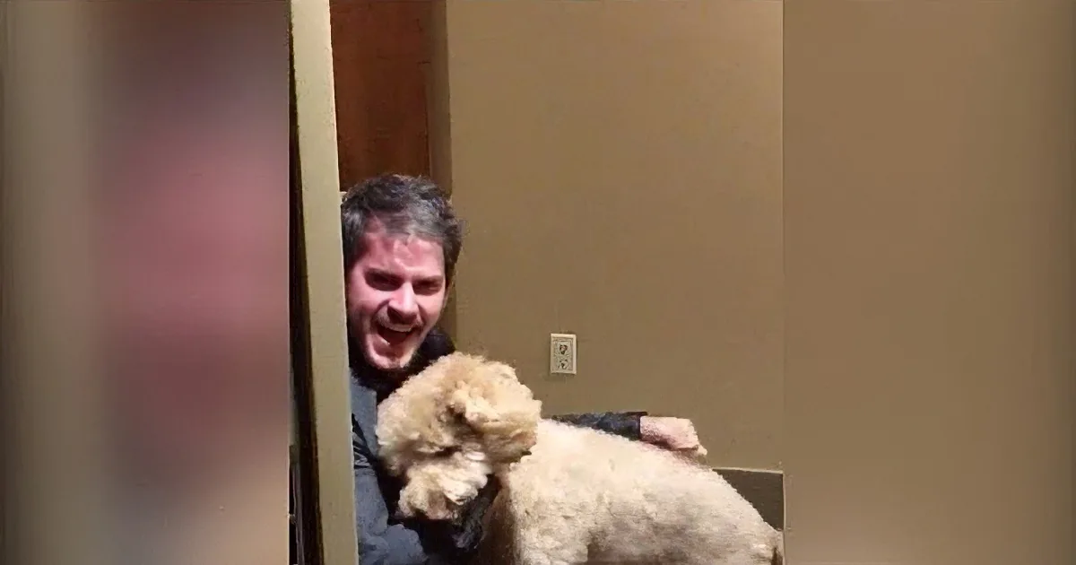 Therapy Dog Runs Away From Home. I Was so Moved When He Reunites With His Daddy.