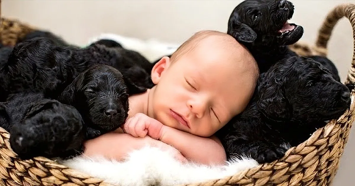 Mom Puts Baby in Basket With Puppies and the Result Is Total Cuteness Overload!