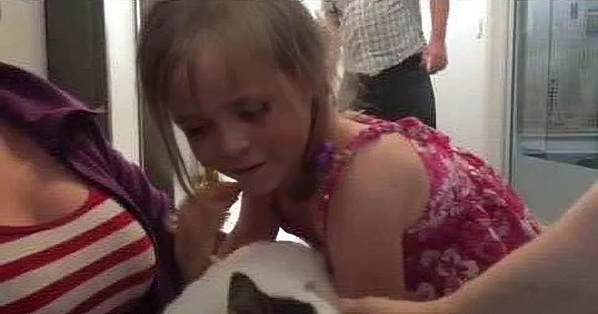 Beautiful Meeting Between a Cute Kitten and a Girl Who Never Forgotten Will Make You Smile Today
