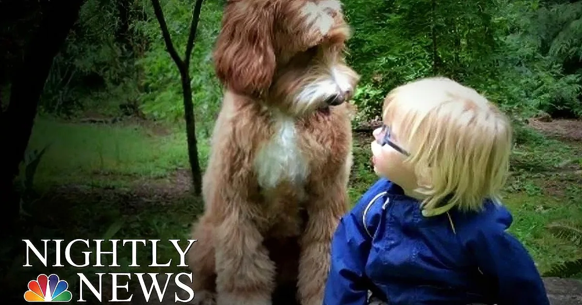 This Family Didn ́T Know if Their Adoptive Son Would Be Happy at Home Until He Met His New Dog.