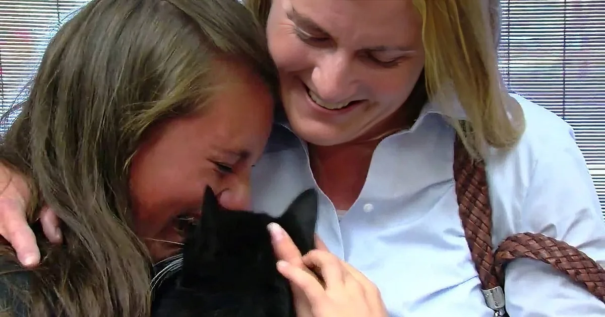This Lost Kitten Could Walk 32 Long Miles Through Utah Mountains to Return to His Home