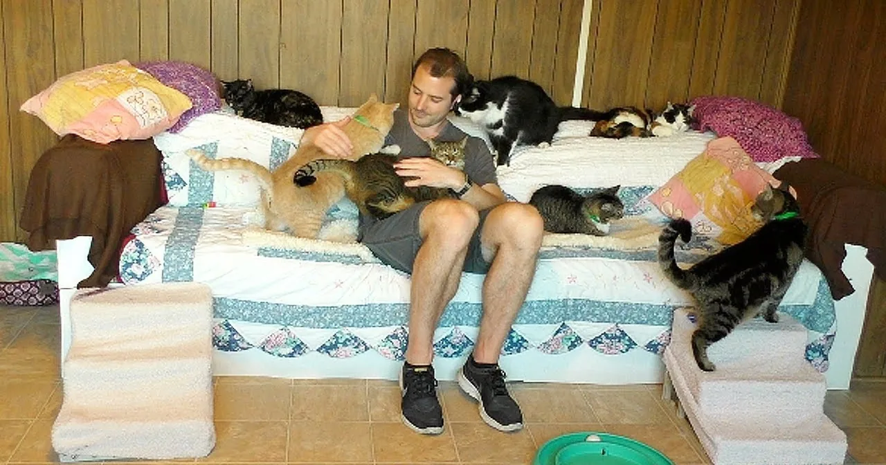 Depressed Man Gets Kitty Therapy From Rescue Cats. It Will Bring a Smile to Your Face!