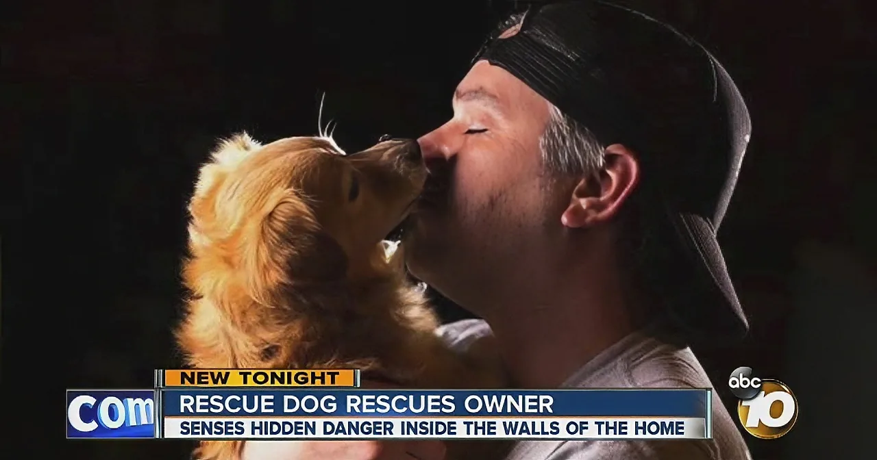 Rescue Dog Sense Danger Before It Happens! Using Adorably Keen Senses, He Saves His Owners Life!