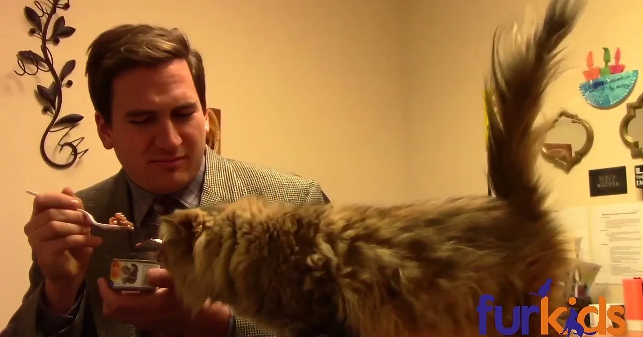 Man Stands Inside Shelter With Cat Nearby. I Was Cracking up at What They Did Next.
