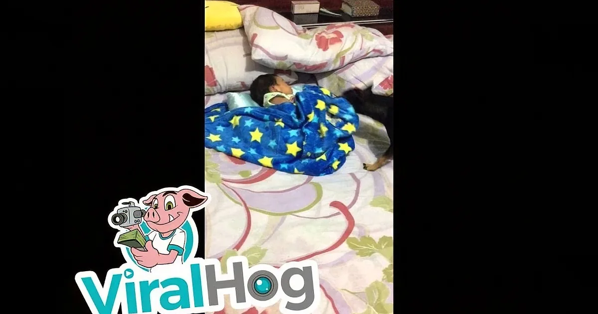 A child sleeps under a blue star-patterned blanket on a floral bedspread.