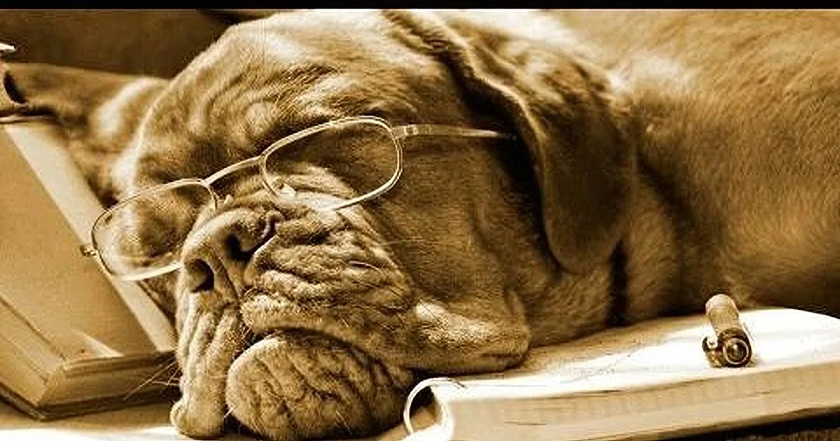 A sepia-toned image of a dog wearing glasses, lying on a book, appearing to be reading.