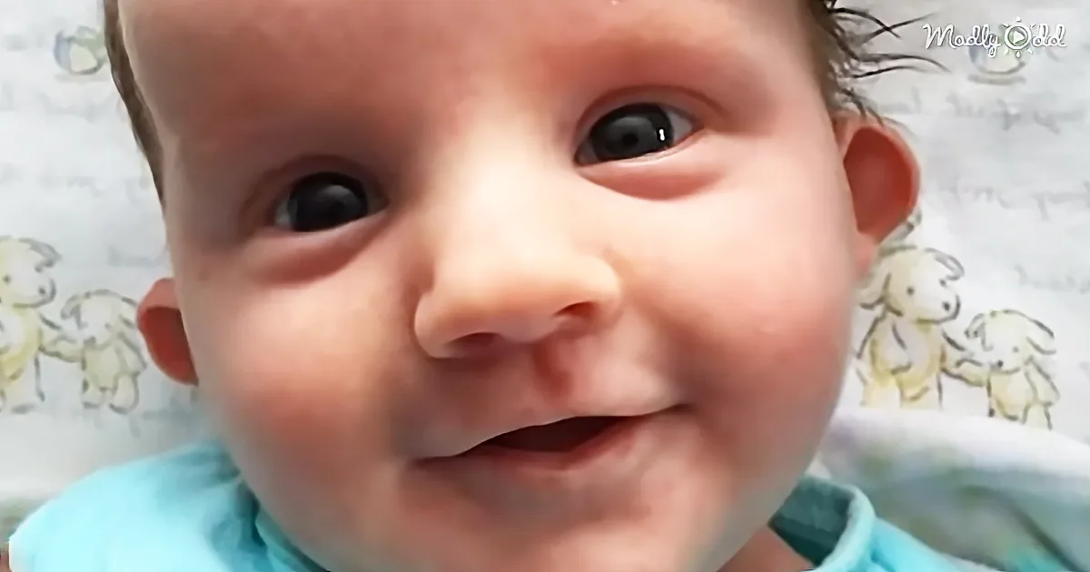 Touching Story of a Dying Baby and Her Two Best Buddies