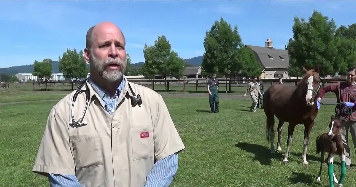 A man in a tan jacket stands in a grassy field with horses, one with a green leg wrap, and a barn in the background.