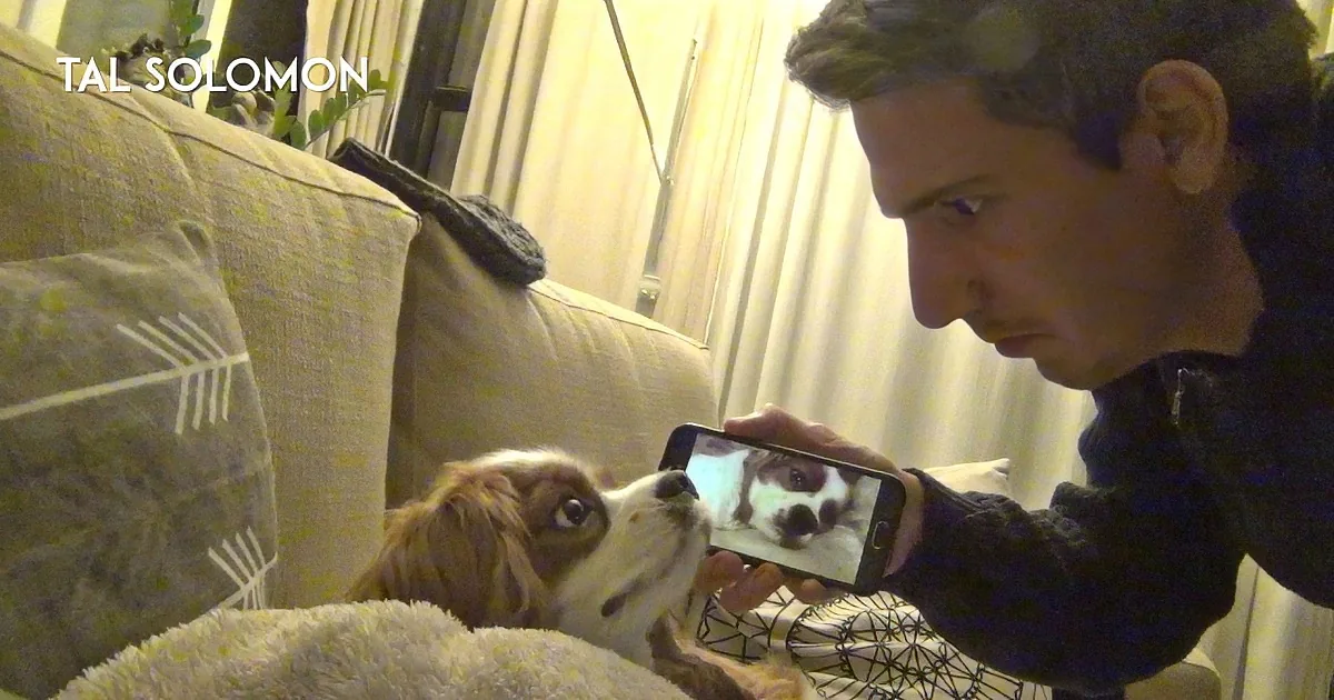 Dad Replays His Noisy Dog Back to Him. When You See the Pooches Reaction? Haw.