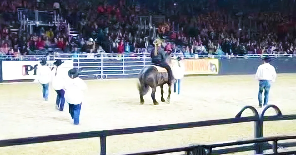 A cowboy on a horse in a rodeo arena, surrounded by spectators and handlers.