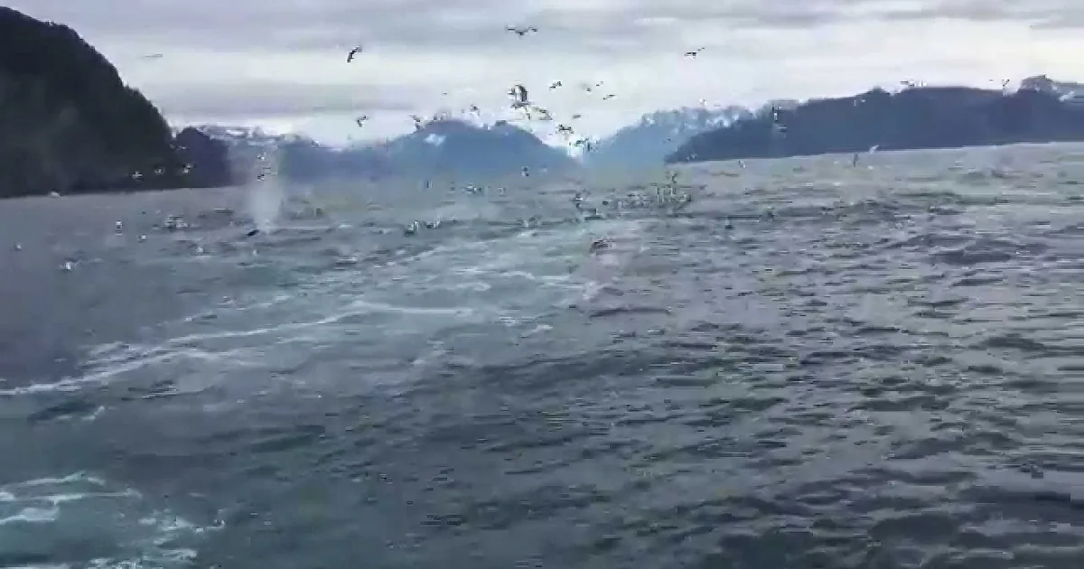 Man Surveys Calm Scene Near Alaskan Bay. I Wasn''t Ready for What Happened Next.
