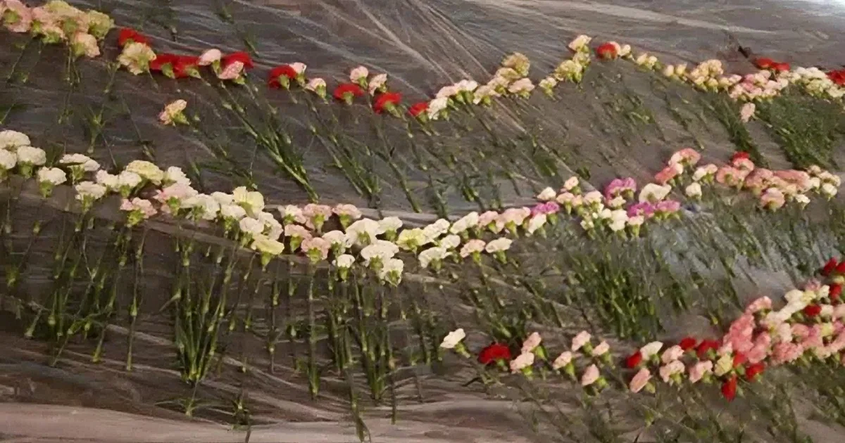 High School Senior Gives Valentine''s Day Flowers to All 834 Girls at His School