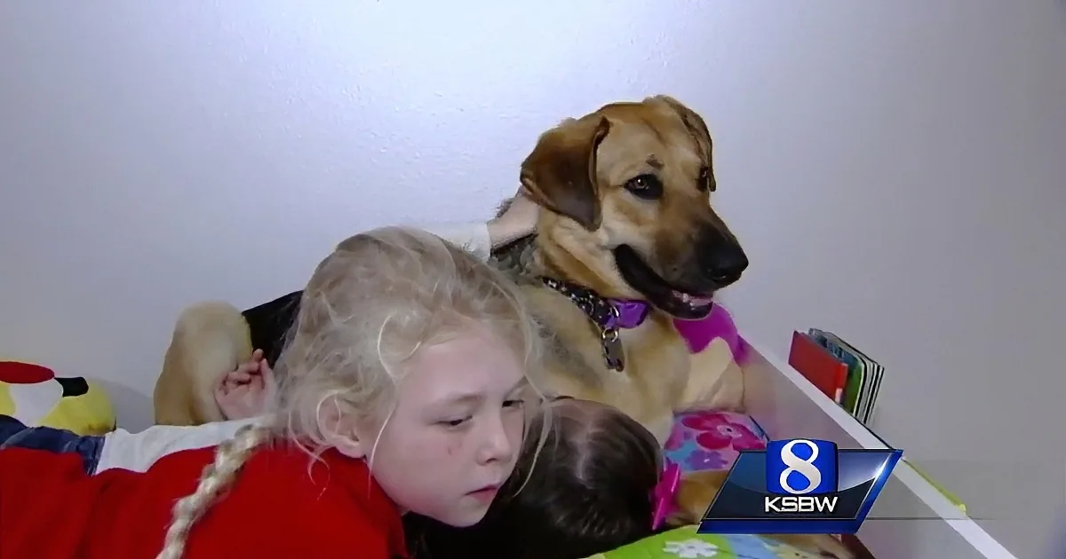 Pooch Ditched Home Months Ago. Everyone Tried Catching Her, but One Small Girl Saved the Day.