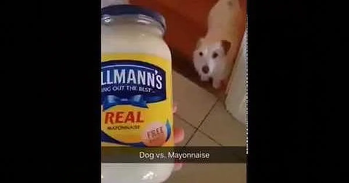 A hand holds a Hellmann's Real Mayonnaise jar, with a dog peeking from behind a door in the background.