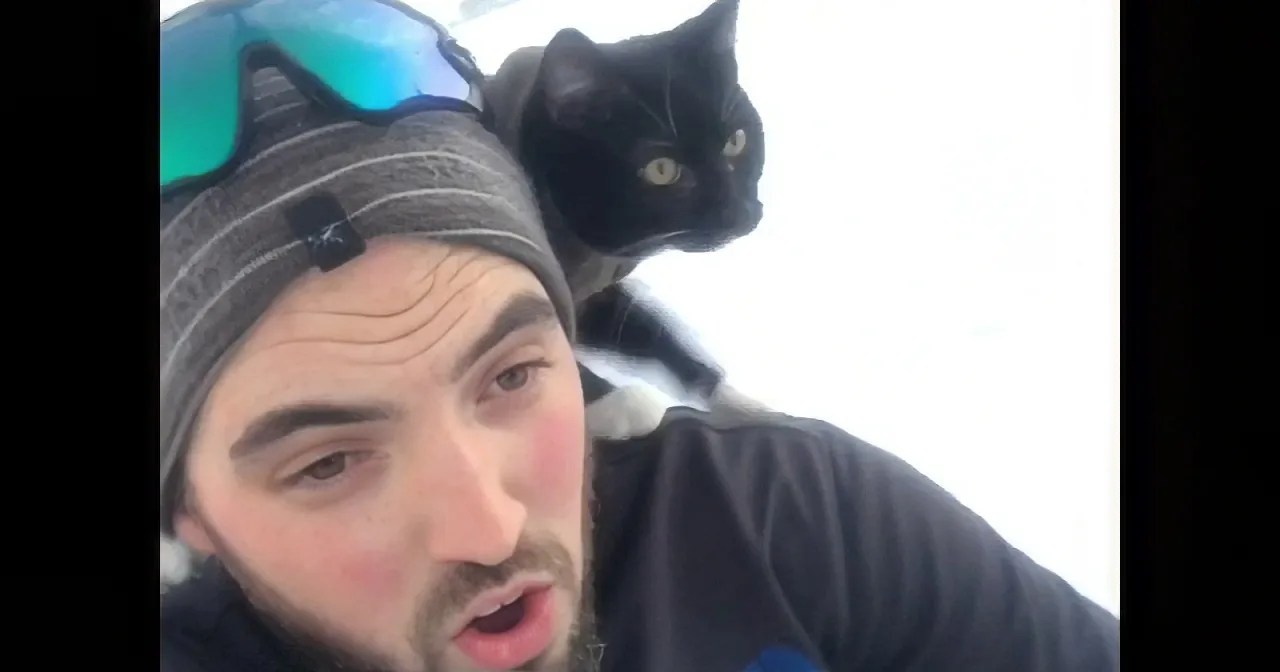 Fearless Dog Shows off His Winter Skill. When His Human Goes Sledding, so Does He!