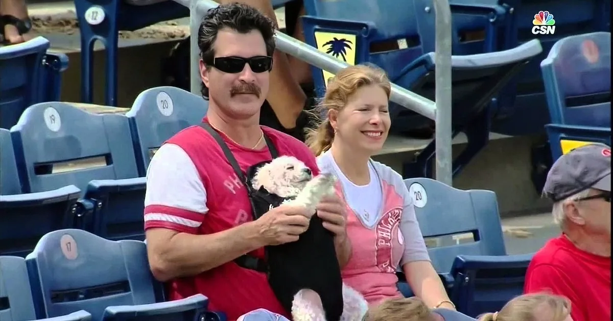 Dog Gets Royal Treatment, Relaxes in Baby Carrier and Acts Real Cool at Phillies Game.