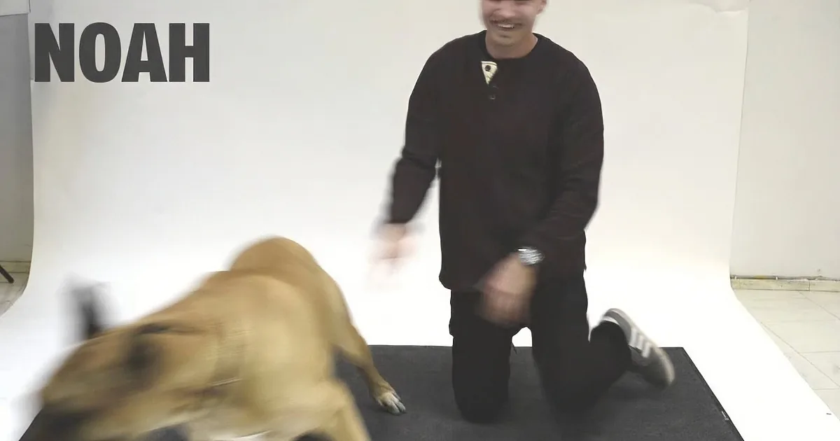 A man in a black shirt smiles as a dog runs past him on a black mat.