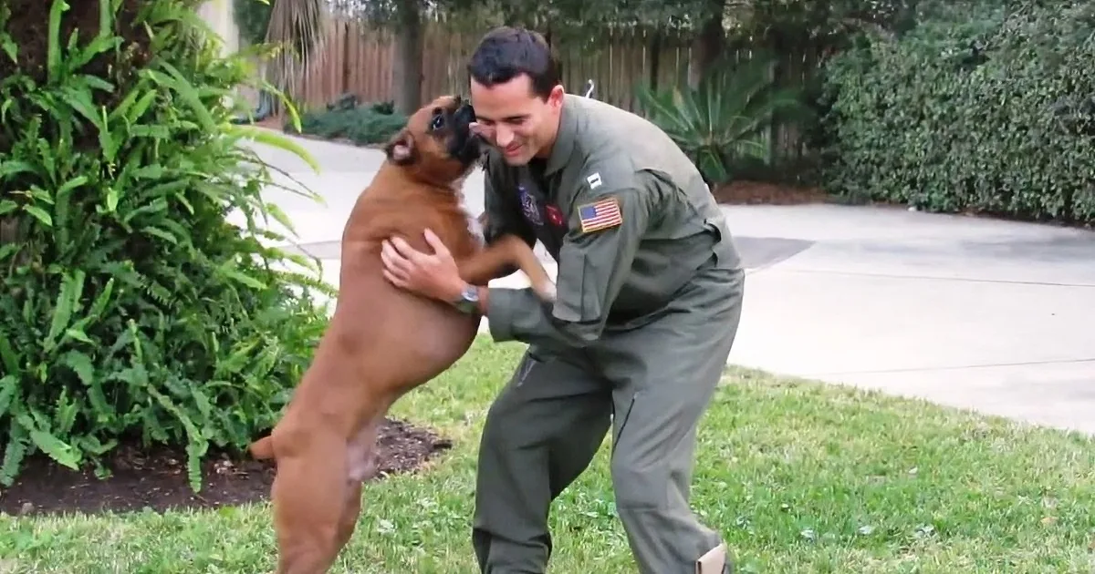 Soldier Comes Back Home From Long Deployment. I Was Smitten With His Dog''s Response.