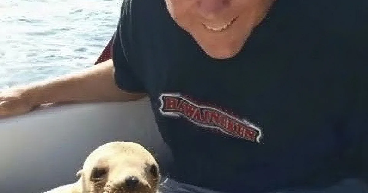 Man Goes Sailing With His Niece. Something Really Cool Decides to Join Them.