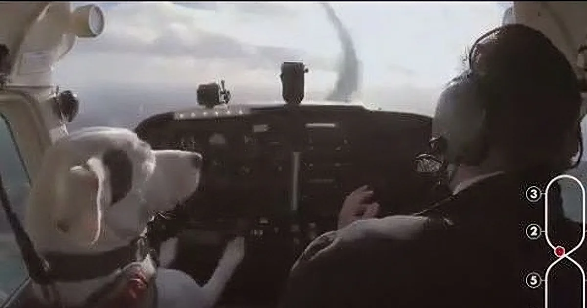 Whoever Said Can''t Teach Old Dog New Tricks, Never Met These Airborne Hounds. Astonishing!