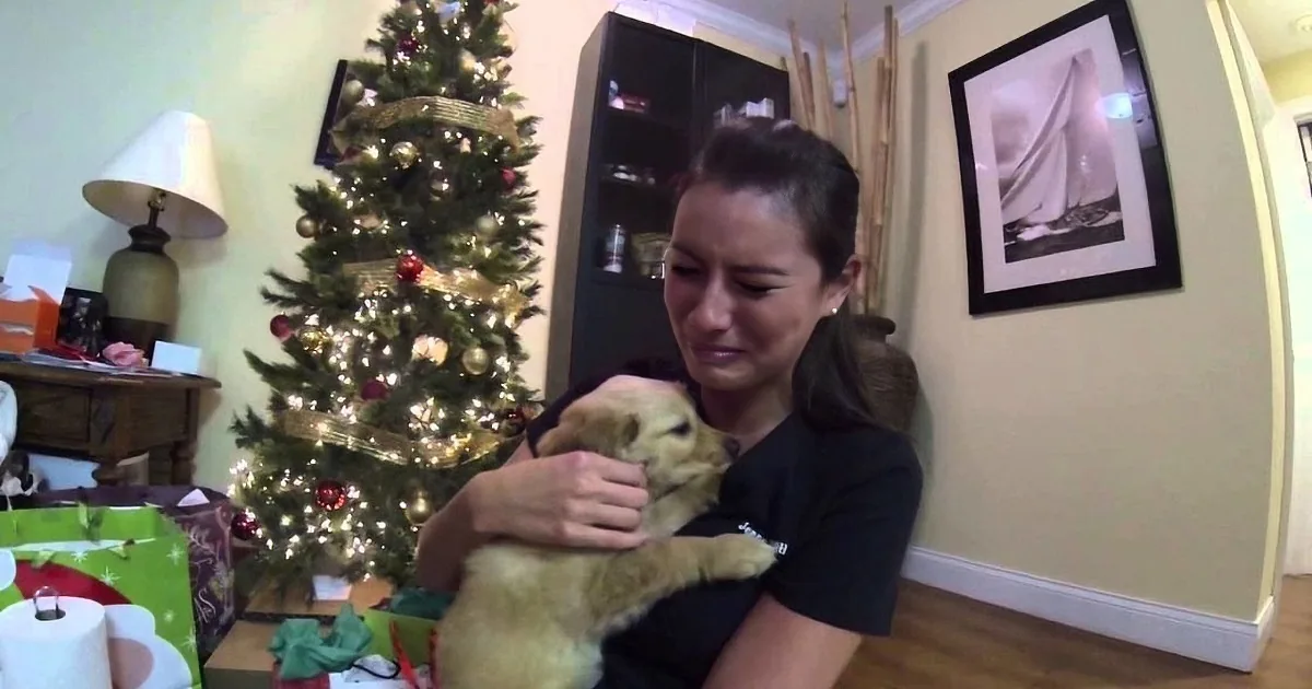A Heart Broken Woman Is Surprised by Her Husband and Then Brought to Tears. Heart-Warming!