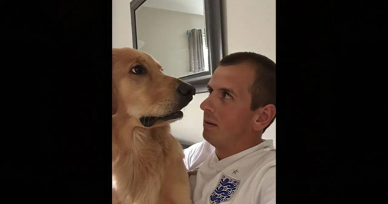 Adorable Golden Retrievers Response to Receiving a Baby Brother... Hilarious!